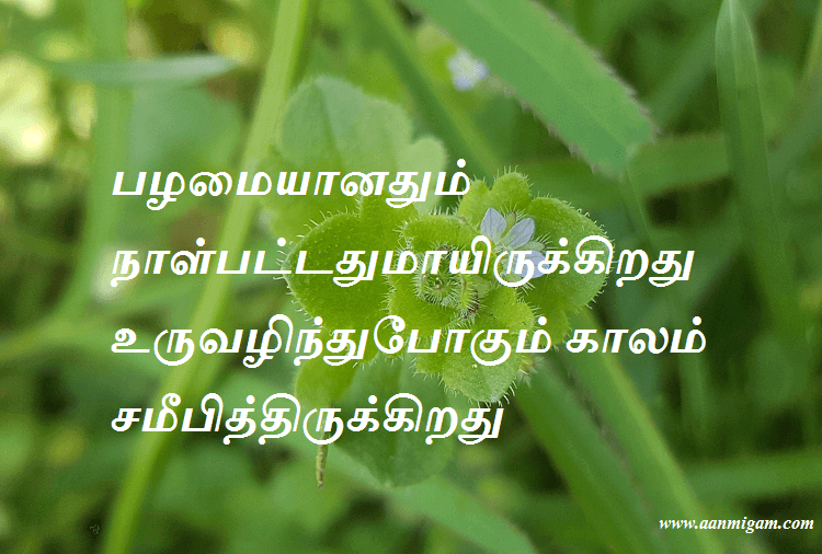 பழமையானதும் நாள்பட்டதுமாயிருக்கிறது உருவழிந்துபோகும் காலம் சமீபித்திருக்கிறது