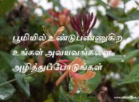 பூமியில் உண்டுபண்ணுகிற உங்கள் அவயவங்களை அழித்துப்போடுங்கள்.