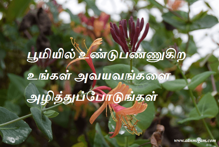 பூமியில் உண்டுபண்ணுகிற உங்கள் அவயவங்களை அழித்துப்போடுங்கள்.