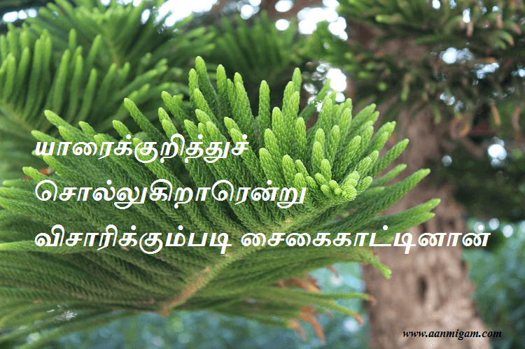 யாரைக்குறித்துச் சொல்லுகிறாரென்று விசாரிக்கும்படி சைகைகாட்டினான்