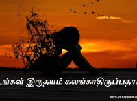 உங்கள் இருதயம் கலங்காதிருப்பதாக