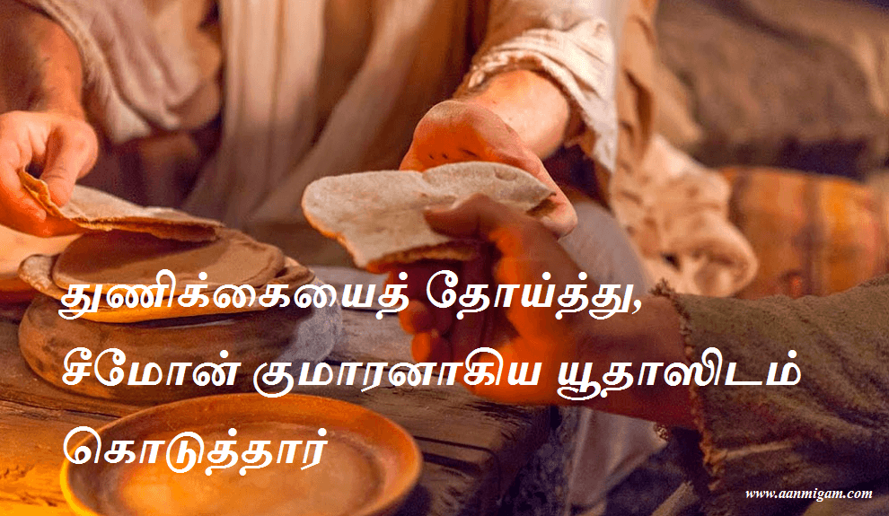 துணிக்கையைத் தோய்த்து, சீமோன் குமாரனாகிய யூதாஸிடம் கொடுத்தார்