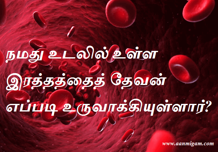 நமது உடலில் உள்ள இரத்தத்தைத் தேவன் எப்படி உருவாக்கியுள்ளார்