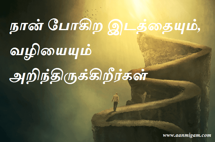 நான் போகிற இடத்தையும், வழியையும் அறிந்திருக்கிறீர்கள்