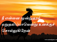 நீ என்னை மூன்றுதரம் மறுதலிப்பாயென்று உனக்குச் சொல்லுகிறேன்