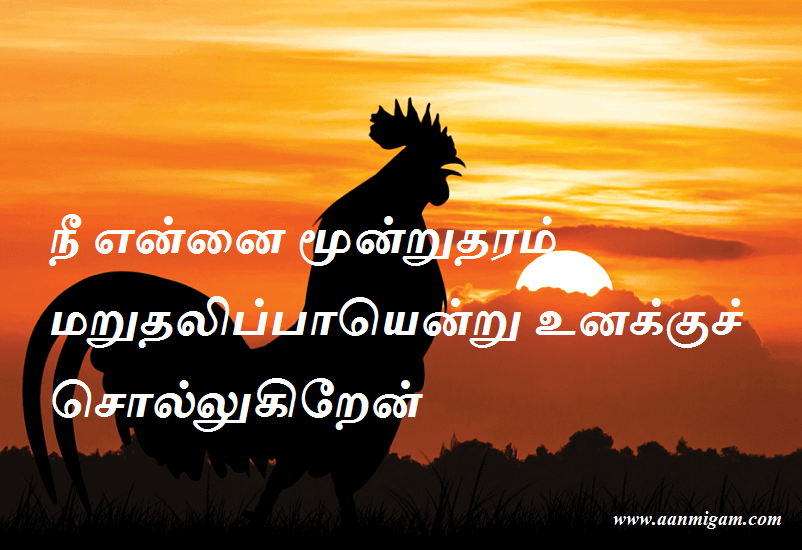 நீ என்னை மூன்றுதரம் மறுதலிப்பாயென்று உனக்குச் சொல்லுகிறேன்