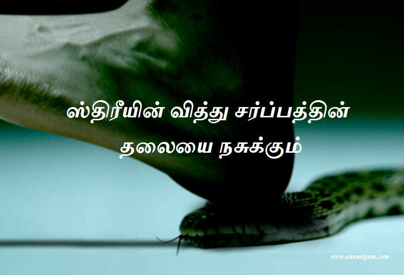 ஸ்திரீயின் வித்து சர்ப்பத்தின் தலையை நசுக்கும்