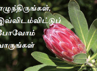எழுந்திருங்கள், இவ்விடம்விட்டுப் போவோம் வாருங்கள்