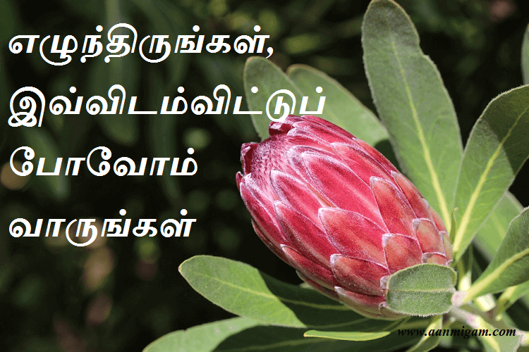 எழுந்திருங்கள், இவ்விடம்விட்டுப் போவோம் வாருங்கள்