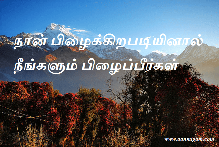 நான் பிழைக்கிறபடியினால் நீங்களும் பிழைப்பீர்கள்