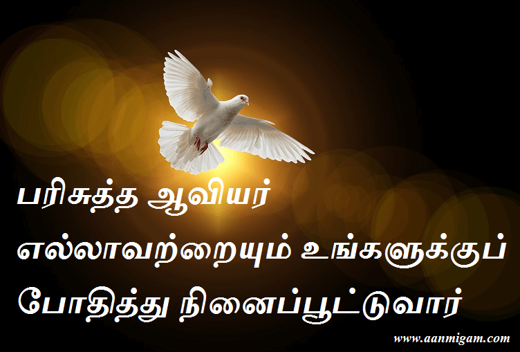 பரிசுத்த ஆவியர் எல்லாவற்றையும் உங்களுக்குப் போதித்து நினைப்பூட்டுவார்