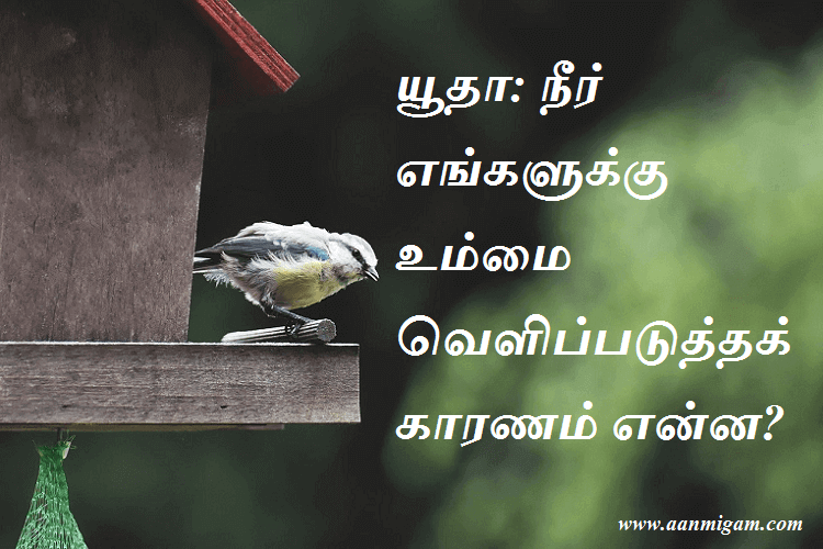 யூதா நீர் எங்களுக்கு உம்மை வெளிப்படுத்தக் காரணம் என்ன