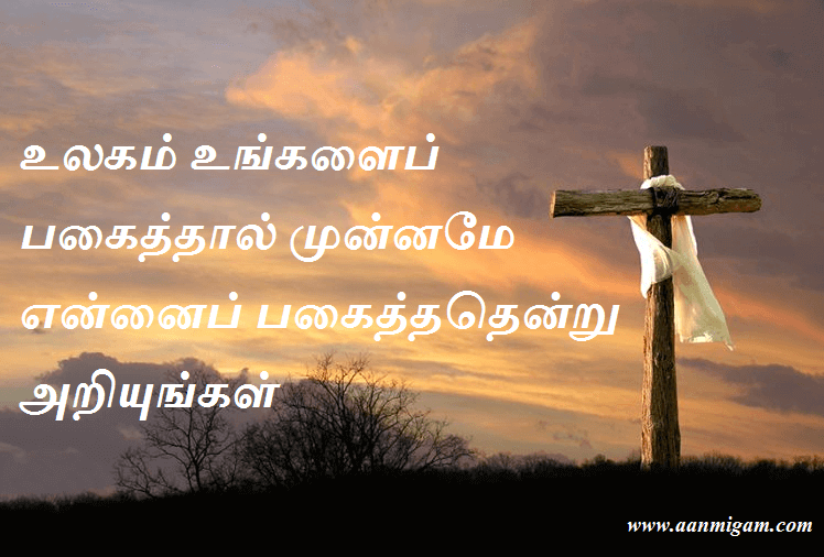 உலகம் உங்களைப் பகைத்தால் முன்னமே என்னைப் பகைத்ததென்று அறியுங்கள்