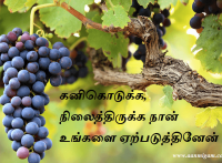 கனிகொடுக்க, நிலைத்திருக்க நான் உங்களை ஏற்படுத்தினேன்