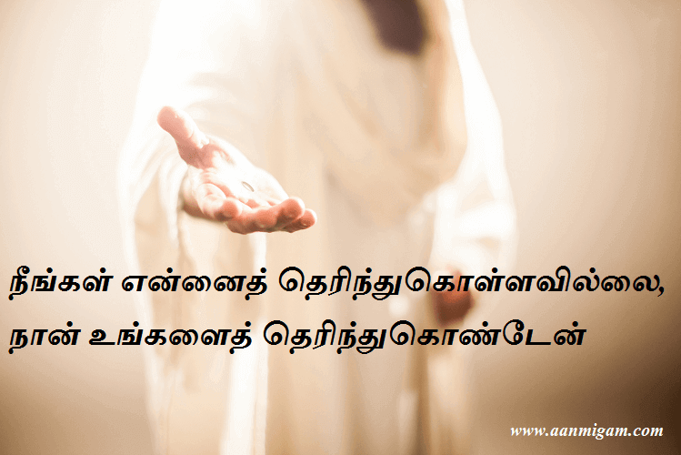 நீங்கள் என்னைத் தெரிந்துகொள்ளவில்லை, நான் உங்களைத் தெரிந்துகொண்டேன்