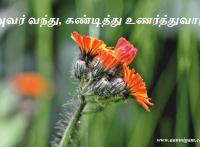 அவர் வந்து, கண்டித்து உணர்த்துவார்
