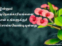 இன்னும் அநேகங்காரியங்களை நான் உங்களுக்குச் சொல்லவேண்டியுள்ளது