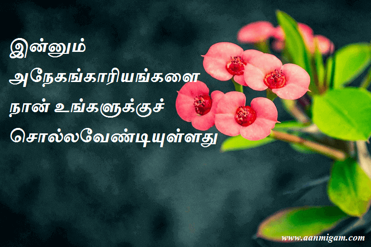 இன்னும் அநேகங்காரியங்களை நான் உங்களுக்குச் சொல்லவேண்டியுள்ளது