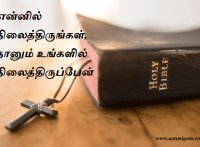என்னில் நிலைத்திருங்கள், நானும் உங்களில் நிலைத்திருப்பேன்