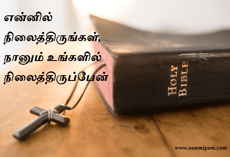 என்னில் நிலைத்திருங்கள், நானும் உங்களில் நிலைத்திருப்பேன்