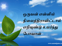 ஒருவன் என்னில் நிலைத்திராவிட்டால் எறியுண்டு உலர்ந்து போவான்
