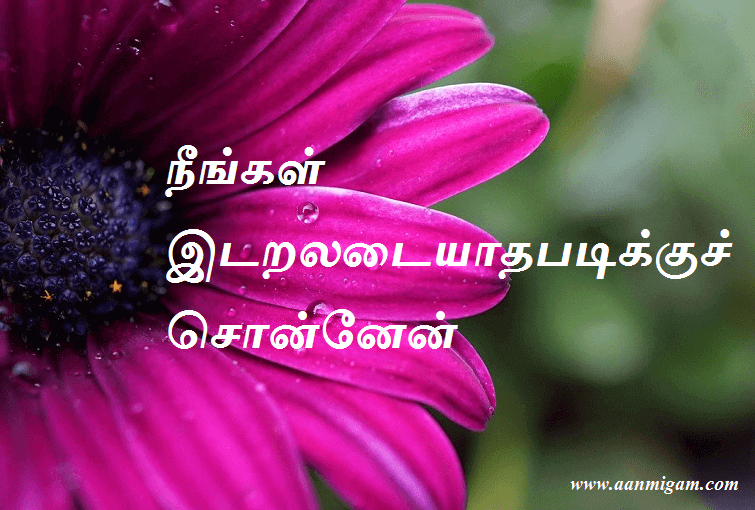 நீங்கள் இடறலடையாதபடிக்குச் சொன்னேன்