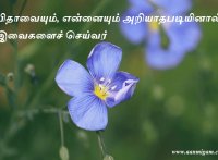பிதாவையும், என்னையும் அறியாதபடியினால் இவைகளைச் செய்வர்