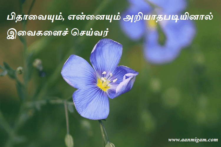 பிதாவையும், என்னையும் அறியாதபடியினால் இவைகளைச் செய்வர்