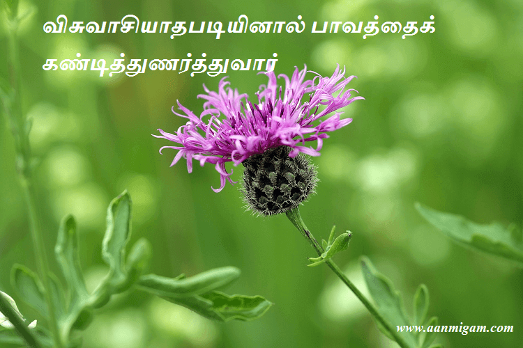 விசுவாசியாதபடியினால் பாவத்தைக் கண்டித்துணர்த்துவார்
