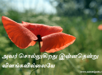 அவர் சொல்லுகிறது இன்னதென்று விளங்கவில்லையே