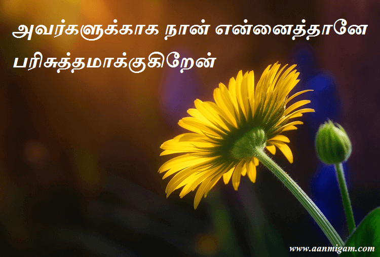 அவர்களுக்காக நான் என்னைத்தானே பரிசுத்தமாக்குகிறேன்
