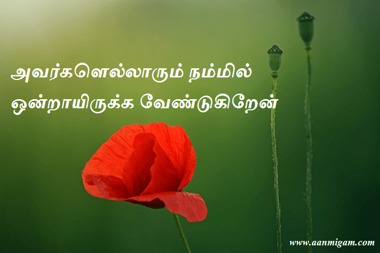 அவர்களெல்லாரும் நம்மில் ஒன்றாயிருக்க வேண்டுகிறேன்
