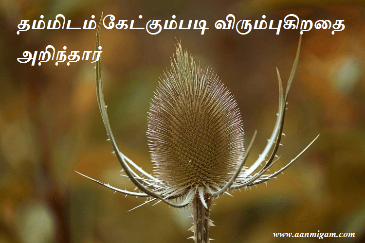 தம்மிடம் கேட்கும்படி விரும்புகிறதை அறிந்தார்