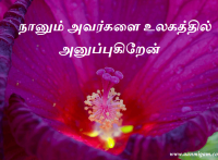நானும் அவர்களை உலகத்தில் அனுப்புகிறேன்