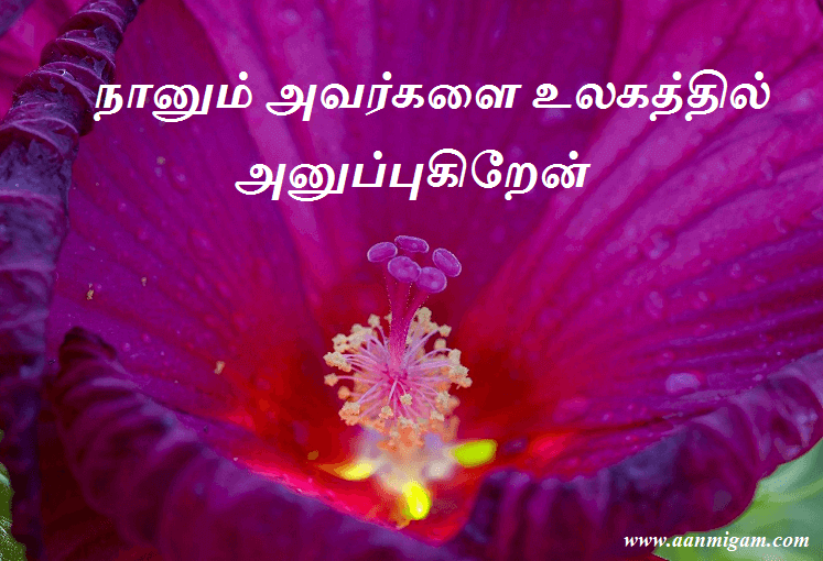 நானும் அவர்களை உலகத்தில் அனுப்புகிறேன்