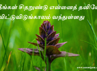 நீங்கள் சிதறுண்டு என்னைத் தனியே விட்டுவிடுங்காலம் வந்துள்ளது