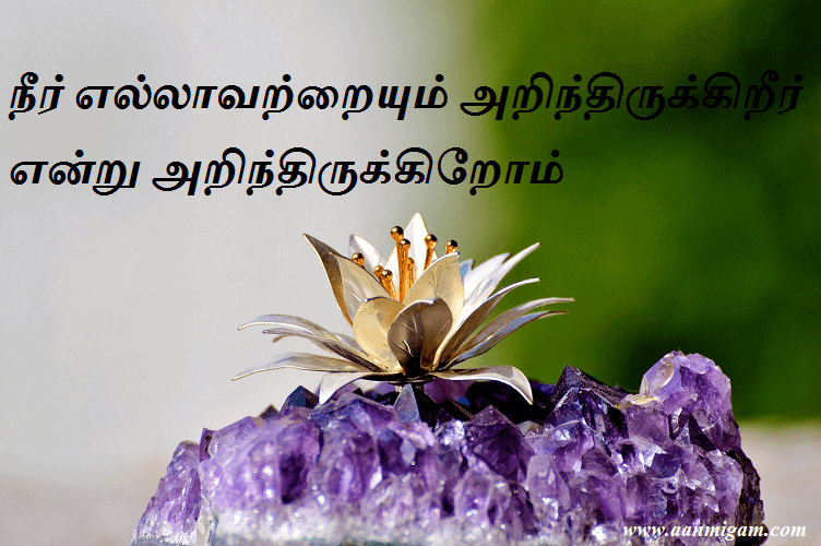 நீர் எல்லாவற்றையும் அறிந்திருக்கிறீர் என்று அறிந்திருக்கிறோம்