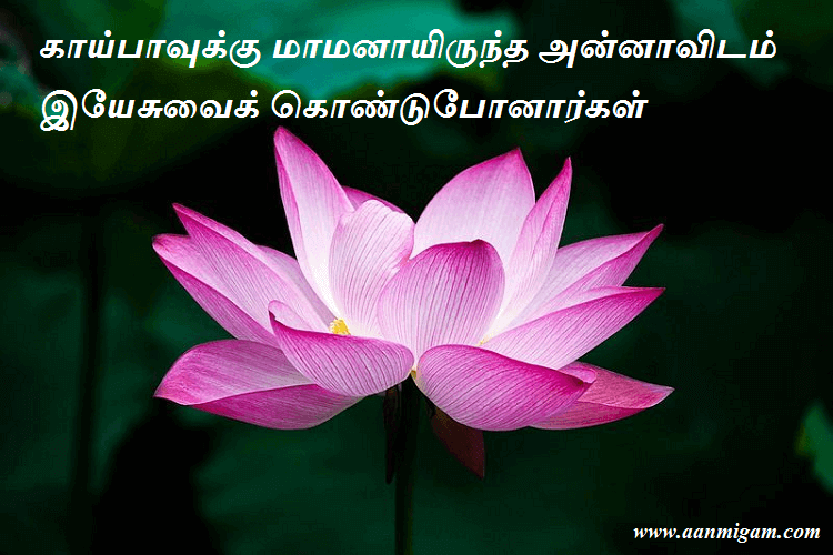 காய்பாவுக்கு மாமனாயிருந்த அன்னாவிடம் இயேசுவைக் கொண்டுபோனார்கள்