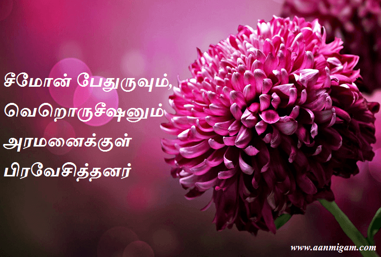 சீமோன் பேதுருவும், வெறொருசீஷனும் அரமனைக்குள் பிரவேசித்தனர்