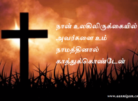 நான் உலகிலிருக்கையில் அவர்களை உம் நாமத்தினால் காத்துக்கொண்டேன்