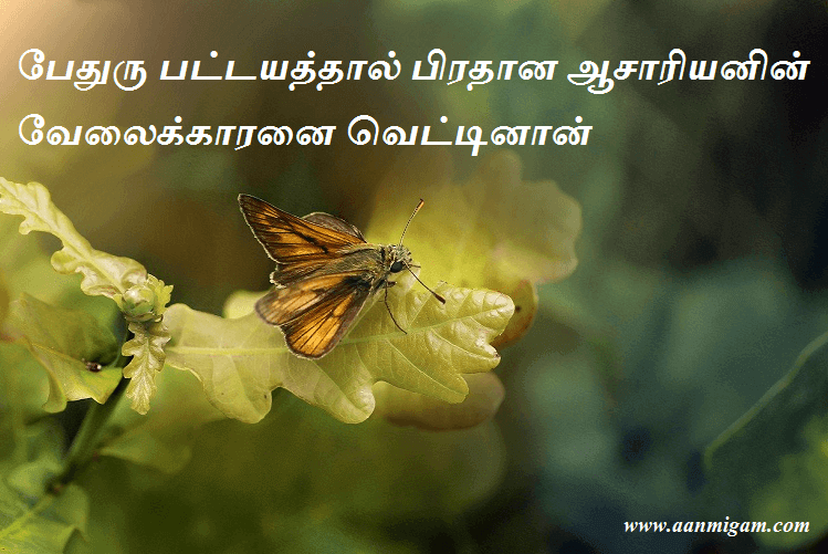 பேதுரு பட்டயத்தால் பிரதான ஆசாரியனின் வேலைக்காரனை வெட்டினான்