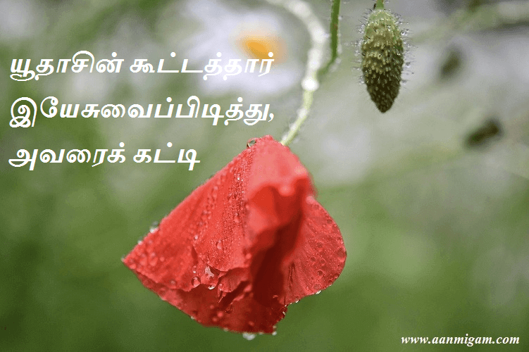 யூதாசின் கூட்டத்தார் இயேசுவைப்பிடித்து, அவரைக் கட்டி