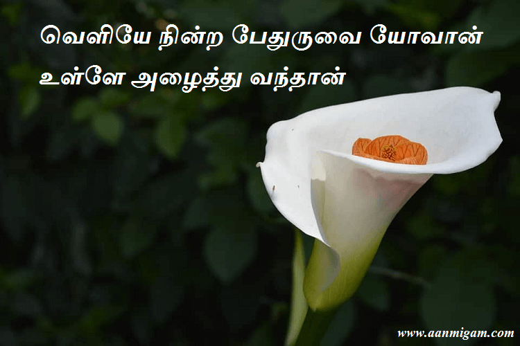 வெளியே நின்ற பேதுருவை யோவான் உள்ளே அழைத்து வந்தான்
