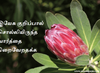 இயேசு குறிப்பால் சொல்லியிருந்த வார்த்தை நிறைவேறதக்க