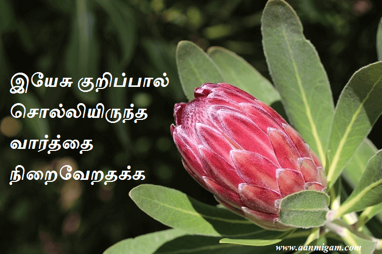 இயேசு குறிப்பால் சொல்லியிருந்த வார்த்தை நிறைவேறதக்க