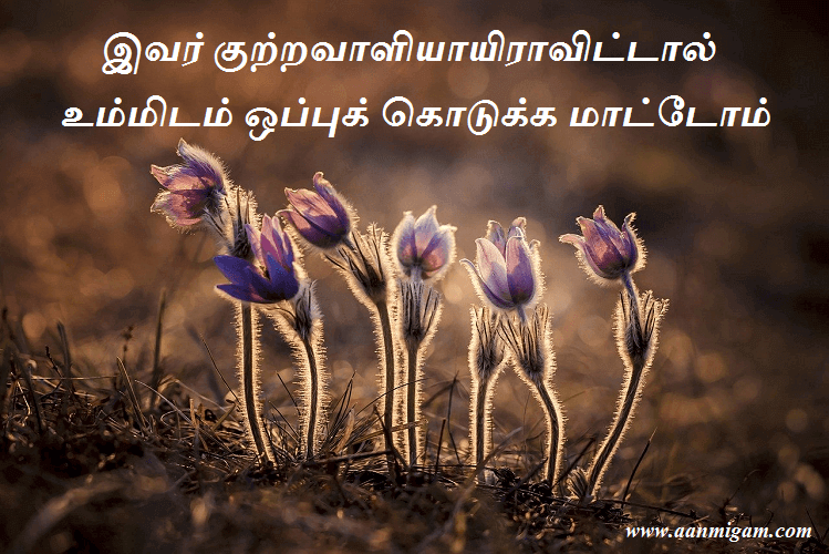 இவர் குற்றவாளியாயிராவிட்டால் உம்மிடம் ஒப்புக் கொடுக்க மாட்டோம்