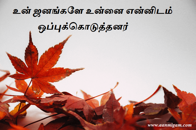 உன் ஜனங்களே உன்னை என்னிடம் ஒப்புக்கொடுத்தனர்