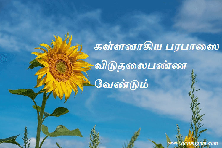 கள்ளனாகிய பரபாஸை விடுதலைபண்ண வேண்டும்