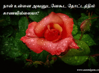 நான் உன்னை அவனுடனேகூட தோட்டத்தில் காணவில்லையா?