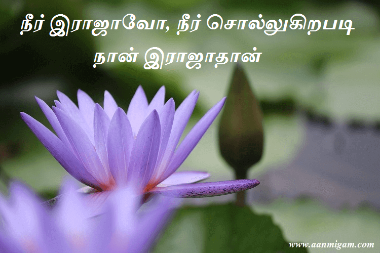 நீர் இராஜாவோ, நீர் சொல்லுகிறபடி நான் இராஜாதான்
